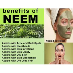 FEELHIGH Set Of 2 Neem Mask & Papaya Scrub- 500ml Each image 2