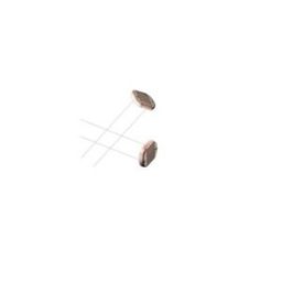 5mm LDR Sensor Photoresistor Photo Cell 10-20K â€“ GL5528-21