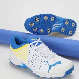 Puma Men's Spike 22.1 White Cricket Shoes-image-75