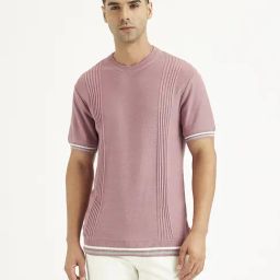 Levi's Mauve Cotton Slim Fit Striped T-Shirt-image-63