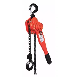 Dayton Lever Chain Hoist Hook Mounted 3000 lb 10 ft, 29XP49-image-62