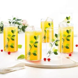 Borosil Transparent Glasses 295 ml - Set of 6-picture-26