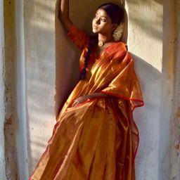 Huts And Looms Red Solid Tissue Saree-picture-22