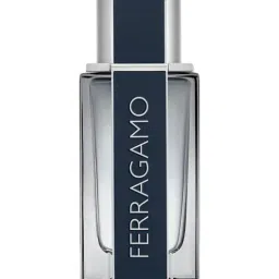 Salvatore Ferragamo Eau de Toilette 50 ml for Men-picture-42