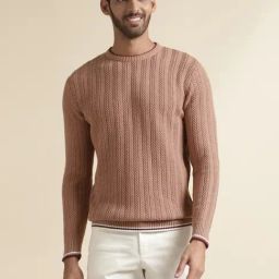 Andamen Khaki Regular Fit Self Pattern Pullovers-picture-0