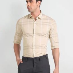Arrow Beige Cotton Slim Fit Checks Shirt-picture-30