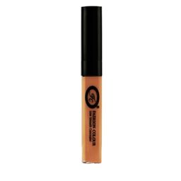 Fashion Colour Cover Up Line Smooth Flawless Natural Finish Liquid Concealer 11g- Shade 01-51