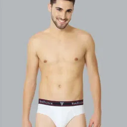 Vh Innerwear White Regular Fit Briefs-picture-44