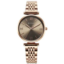 Titan 95313WM01 Workwear Analog Watch for Women-64