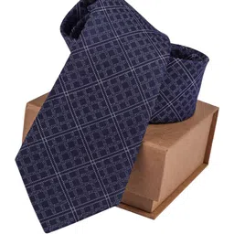 The Tie Hub Men Checked Skinny Tie-image-40