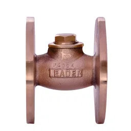 Leader 2 Inch,50 mm Bronze Horizontal Lift Check Valve IS 024-picture-48