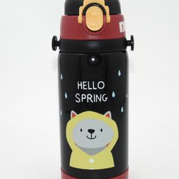 Sanjary Stainless Steel 304  Double Wall  Mix Print Water Bottle Multicolour - 450 ml-image-34