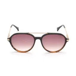 Image IMS741C3SG Brown Aviator-picture-34