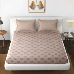 Florida BS-MD Beige Cotton 200 TC King Fitted Bedsheet with 2 Pillow Covers-image-89