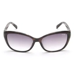Irus Grey Square Sunglasses for Women-image-15