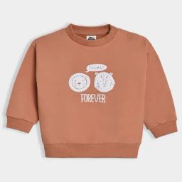 MiArcus Kids Rust Orange Printed Sweatshirt-3