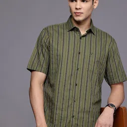 Allen Solly Pure Cotton Classic Fit Striped Casual Shirt-picture-25