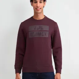 U.S. Polo Assn. Denim Co. Purple Cotton Regular Fit Logo Printed Sweatshirt-picture-0