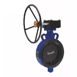 Kranti 24 inch, 600 mm Cast Iron Gear Operated Butterfly Valve, PV-403B-12
