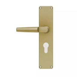 Godrej Rossete Door Handle Set 1C EM 01 Antique Brass, 9505-picture-45