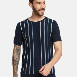 Mettle Light Navy Cotton Regular Fit Striped T-Shirt-picture-20