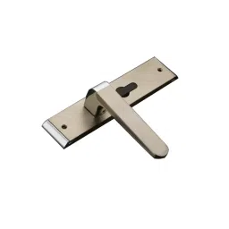 Harrison Legacy 3072 200 mm Zinc Die Casting RG PVD Finish Mortise Handle Complete Set, 1036-image-2