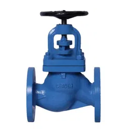 Leader CI 014 Cast Iron T Globe Valve PN - 16-picture-10
