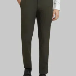 Park Avenue Brown Slim Fit Self Pattern Trousers-picture-13