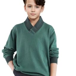 Rare Ones Boys Green Cotton Solid Sweater-image-43