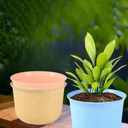 Kuber Industries Blue & Peach-Coloured 3 Pieces Flower Pot With Plate-5