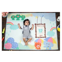 New Comers Milestone Blanket And Props For Baby'S Monthly Photoshoot - Multicolor-image-77
