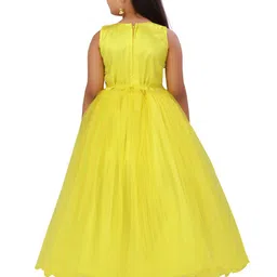 BAESD Print Net Fit & Flare Dress image 5