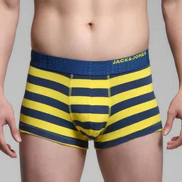 Jack & Jones Striped Short Trunk 9013165002-52