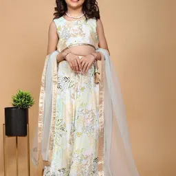 NIVUDI Girls Printed Ready to Wear Lehenga Choli-22