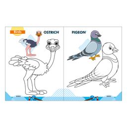 Sawan 2 In 1 Copy To Color Set of 3 - English image 4