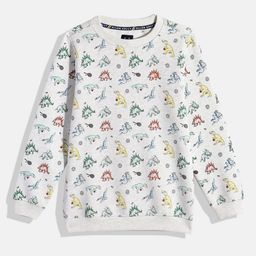Allen Solly Junior Boys Conversational Printed Sweatshirt-picture-25