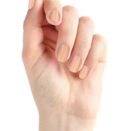 Renee Stick On Nails - Bn 02 image 4