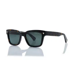 Shisen Fox Blue UV Protection Square Unisex Sunglasses-image-30