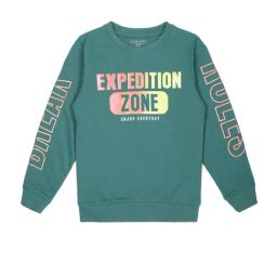 Plum Tree Kids Teal Graphic Print Full Sleeves Sweatshirt-image-4