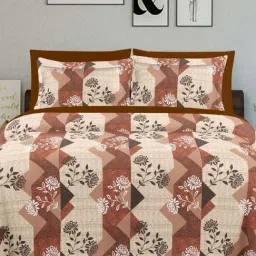 Ariana SARDINIA Brown Cotton 144 TC King Size Bedsheet With 2 Pillow Covers-image-105