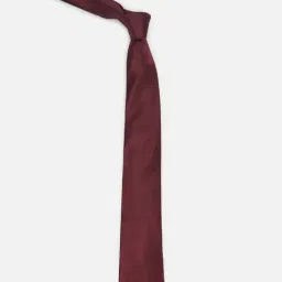 Allen Solly Maroon Textured Tie-image-16