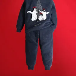 Cherry Crumble By Nitt Hyman Kids Grey Embroidered Full Sleeves Sweatshirt with Pants-image-26