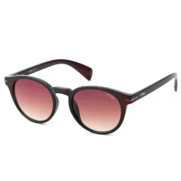 Irus Brown Oval UV Protection Sunglasses for Men-image-23
