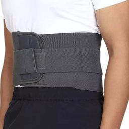 Reify Premium Lumbar Support Waist Belt in Grey Color for Lower Back Support, Size M image 2