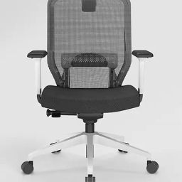 Godrej Interio Greta Mid Black Fabric Standerd Office Executive Chair-picture-36