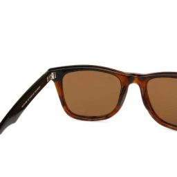 Vincent Chase by Lenskart VC S11742 Brown Polarized Wayfarer image 5