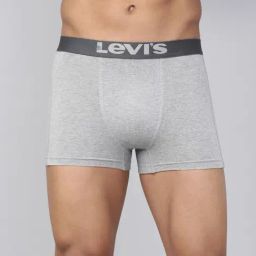Levi's Light Grey Trunks-picture-41