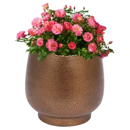ORILEY Metal Flower Pot Heavy Duty Planter 11 x 10 cm Brown-image-58
