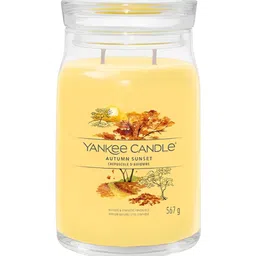 YANKEE CANDLE Yellow 1 pieces Jar Candle-image-53