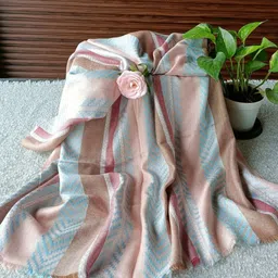 Dupatta Bazaar Women Striped Stole-image-38